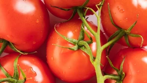 Biedronka zaczęła się tłumaczyć. Poszło o pomidory ze sklepów