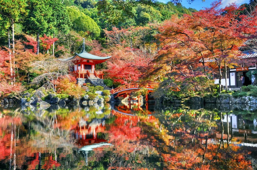 Jesienna aura w świątyni Daigo-ji w Kioto. Japonia doświadczyła najcieplejszej jesieni w historii, co wpłynęło między innymi na kolor liści ikonicznych klonów w mieście. Zdjęcie ilustracyjne Jesienna aura w świątyni Daigo-ji w Kioto. Japonia doświadczyła najcieplejszej jesieni w historii, co wpłynęło między innymi na kolor liści ikonicznych klonów w mieście. Zdjęcie ilustracyjne