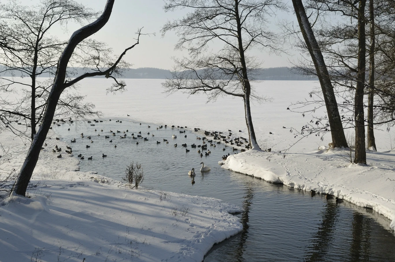 Odkryj uroki zimowego podróżowania po Polsce