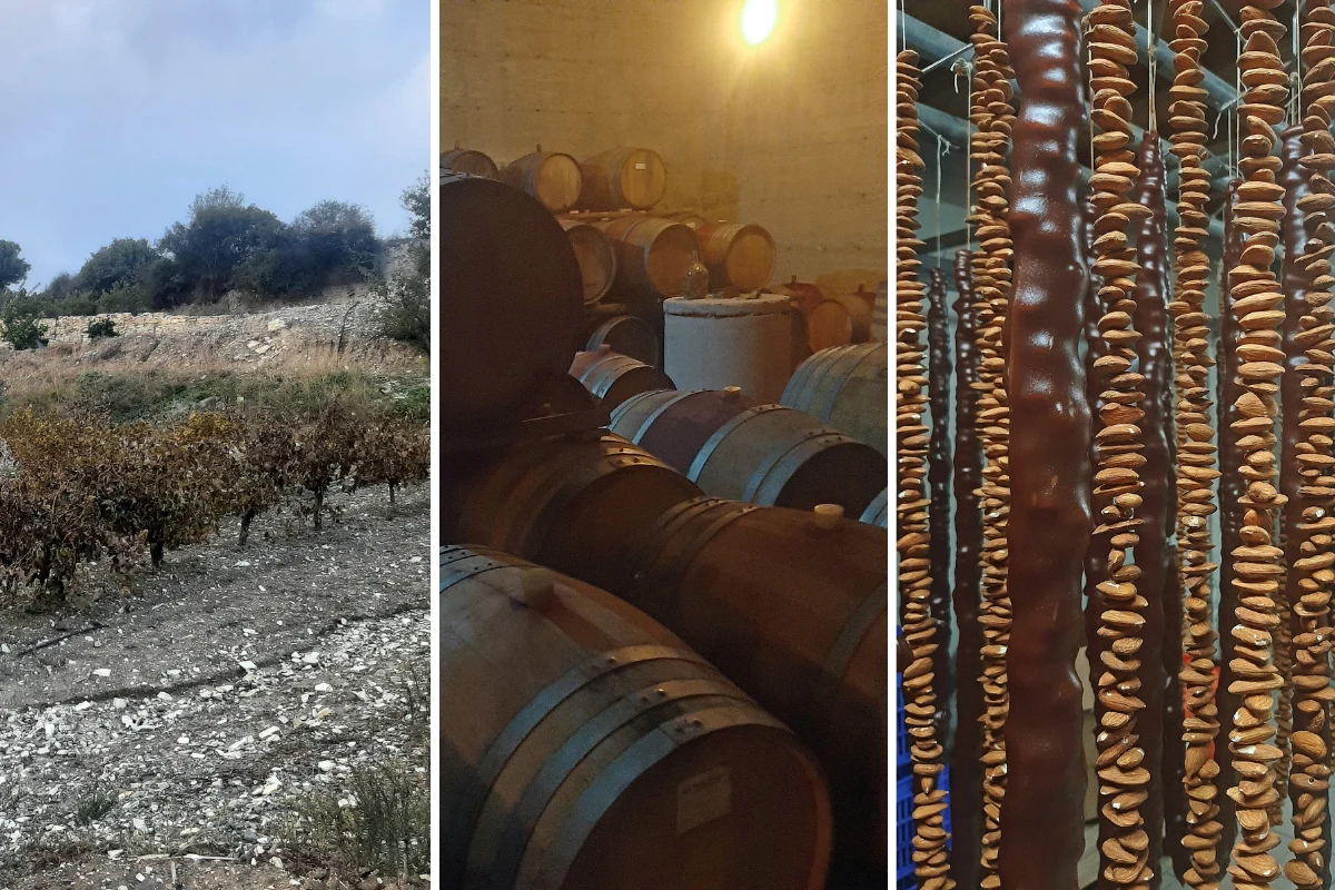 W winnicy Ktima Christoudia można nie tylko degustować wina, ale też poznać proces ich produkcji. Tu mozna też zobaczyć, jak powstają słynne soushoukos i nabyć różne lokalne produkty W winnicy Ktima Christoudia można nie tylko degustować wina, ale też poznać proces ich produkcji. Tu mozna też zobaczyć, jak powstają słynne soushoukos i nabyć różne lokalne produkty