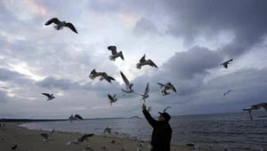 W tych miastach w Polsce śniegu już nie będzie. To koniec prawdziwej zimy