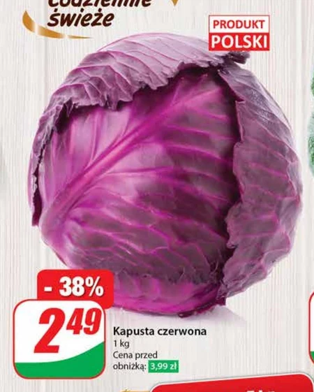 Kapusta czerwona Polski