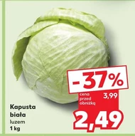 Kapusta biała