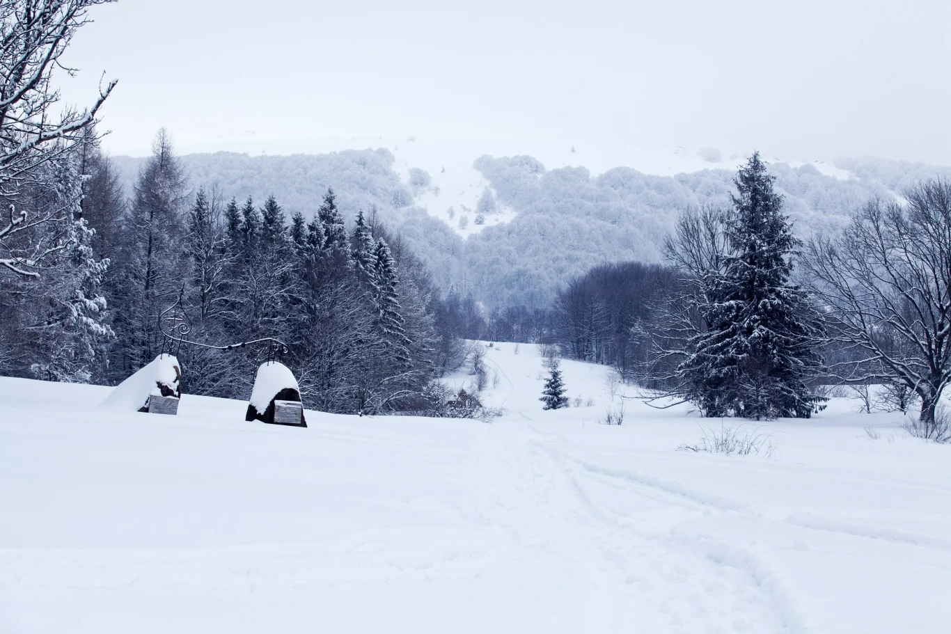 Bieszczadzkie krajobrazy w zimowej odsłonie zachwycają. 
