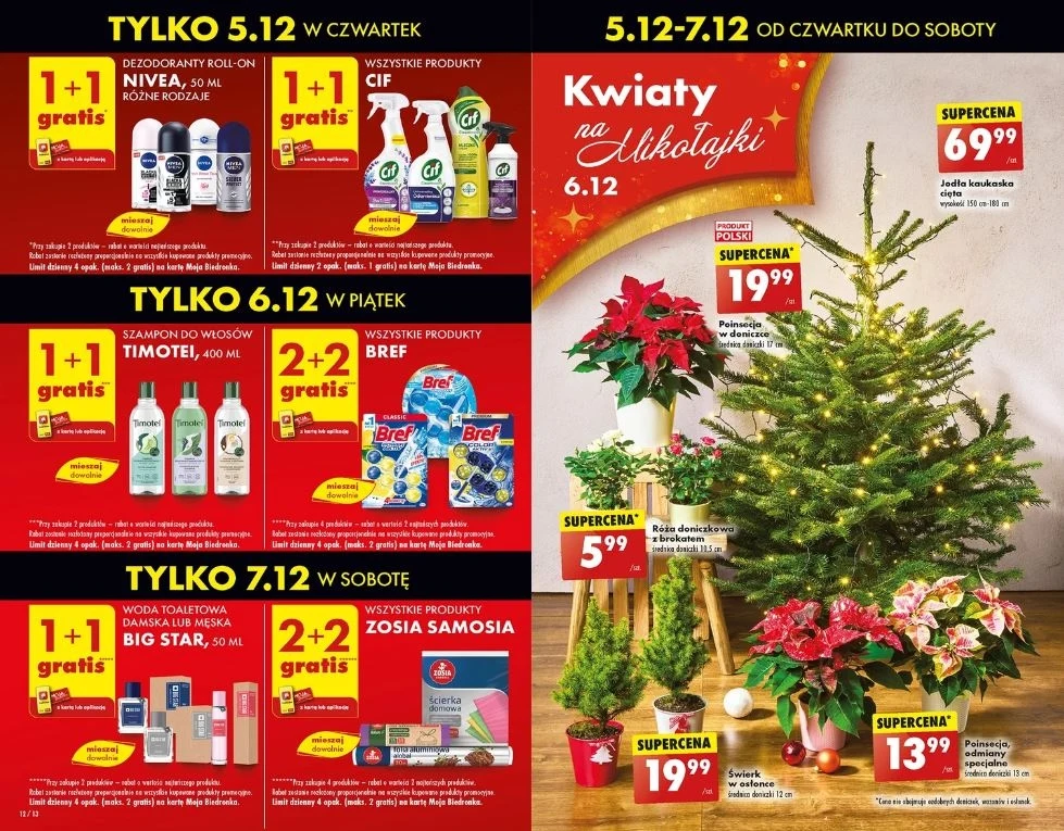 Biedronka oferuje choinki w niskich cenach! Biedronka oferuje choinki w niskich cenach!