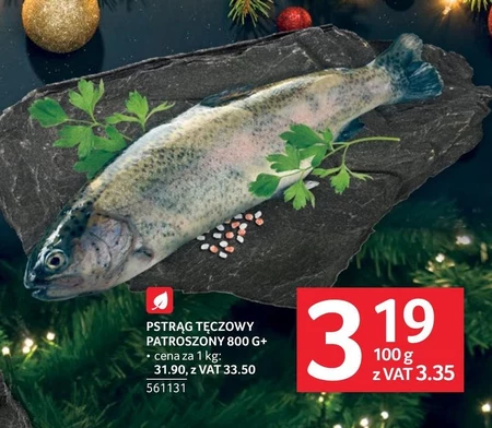 Pstrąg tęczowy