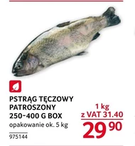 Pstrąg tęczowy Ok.