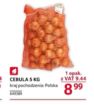 Cebula