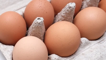 Jajka najlepiej wybierać z oznaczeniem "0" lub "1"