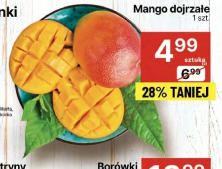 Mango