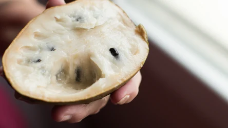 Czerymoja to inaczej budyniowe jabłko. Co wiadomo na temat tego egzotycznego owocu? 