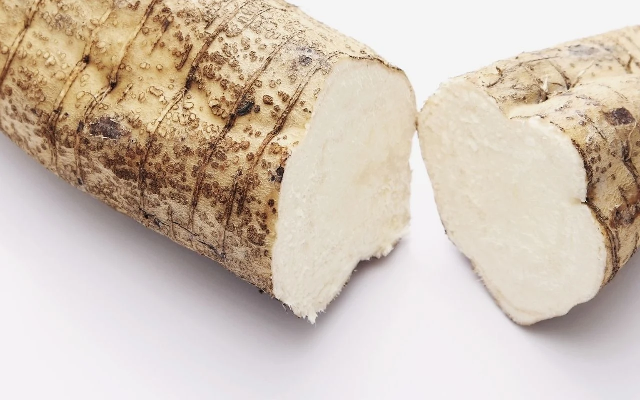 Choć korzeń kudzu wygląda niezbyt zachęcająco, ma w sobie prawdziwą supermoc