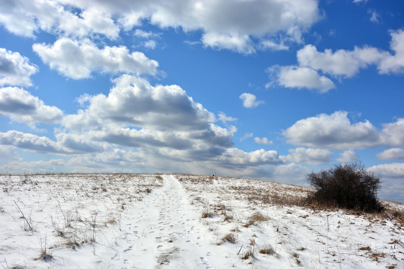 Końcem lipca w Polsce znajdowało się 1512 rezerwatów przyrody