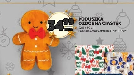 Poduszka AS