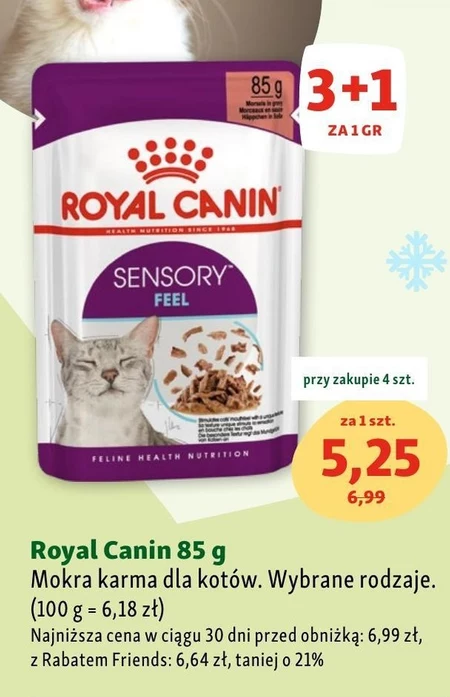 Mokra karma dla kota Royal Canin