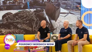 Morscy Ghost Busters. Kim są i z jakimi zagrożeniami walczą?