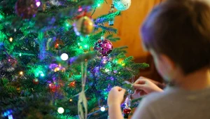 Wyliczyli, ile kosztuje świecenie lampek choinkowych