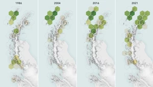 Tak w ciągu ostatnich 40 lat zazieleniał się Półwysep Antarktyczny