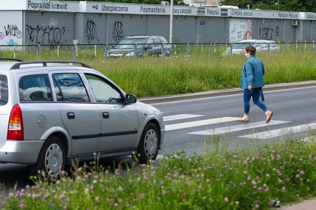 Czy kierowca może zacząć ruszać, jeśli pieszy nie opuścił jeszcze przejścia?