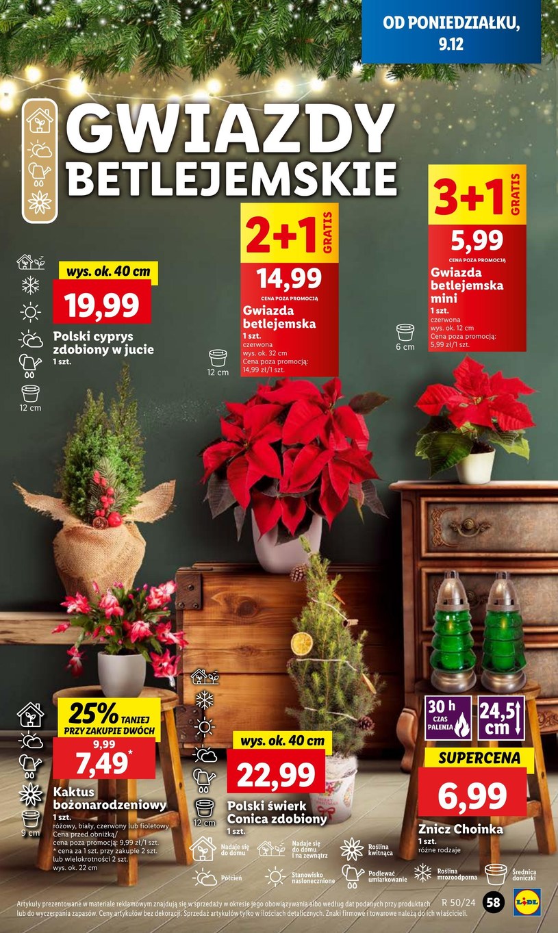 Gazetka: Zrób świąteczne zapasy - Lidl - strona 61