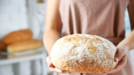 Czym różni się chleb mrożony od świeżego?