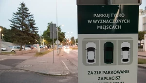 Mandat za złe parkowanie. Ile będzie punktów karnych? Kierowcy łapią się za głowę 