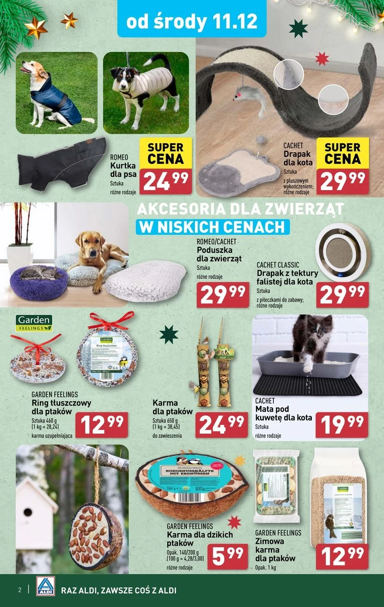 Zimowa pomoc dla ptaków zaczyna się w Aldi! Niskie ceny na karmę!