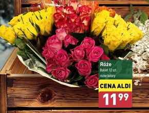 Bukiet Aldi niska cena