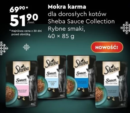 Mokra karma dla kota Sheba