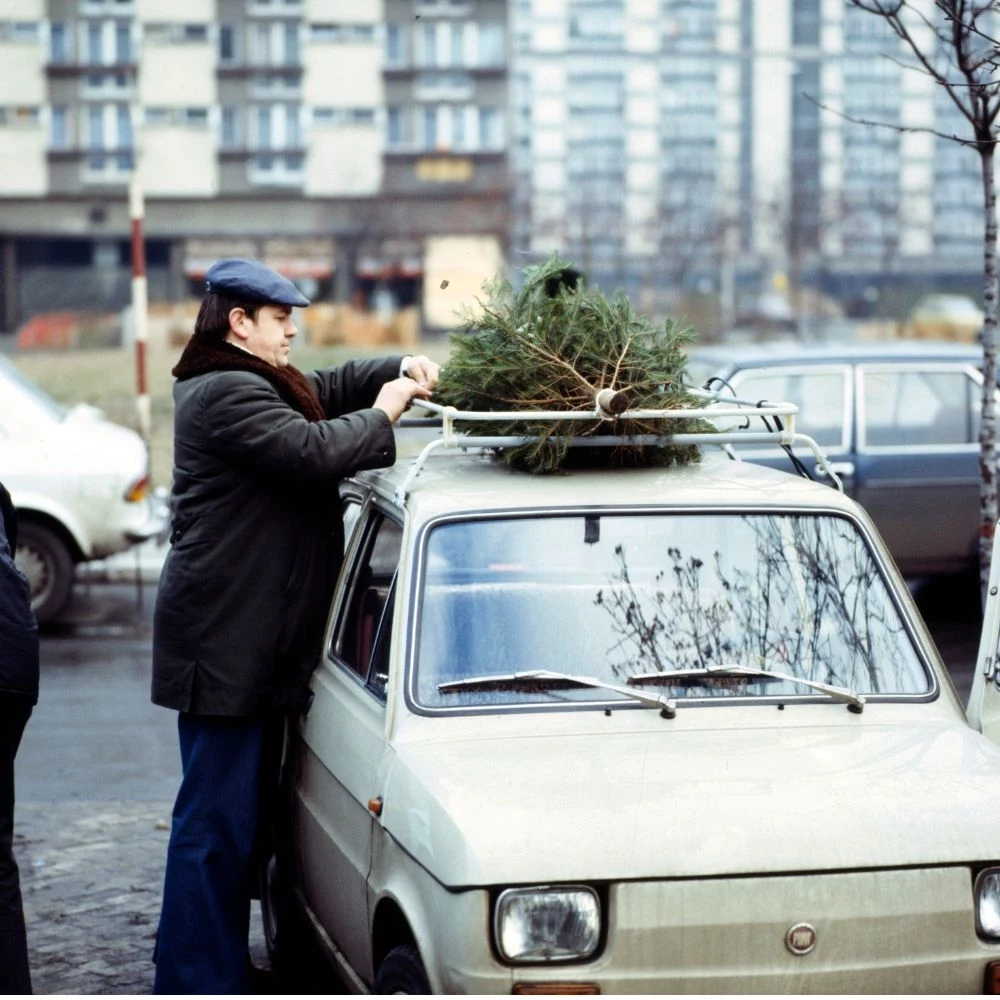 Dumny właściciel choinki w Warszawie w 1978 roku