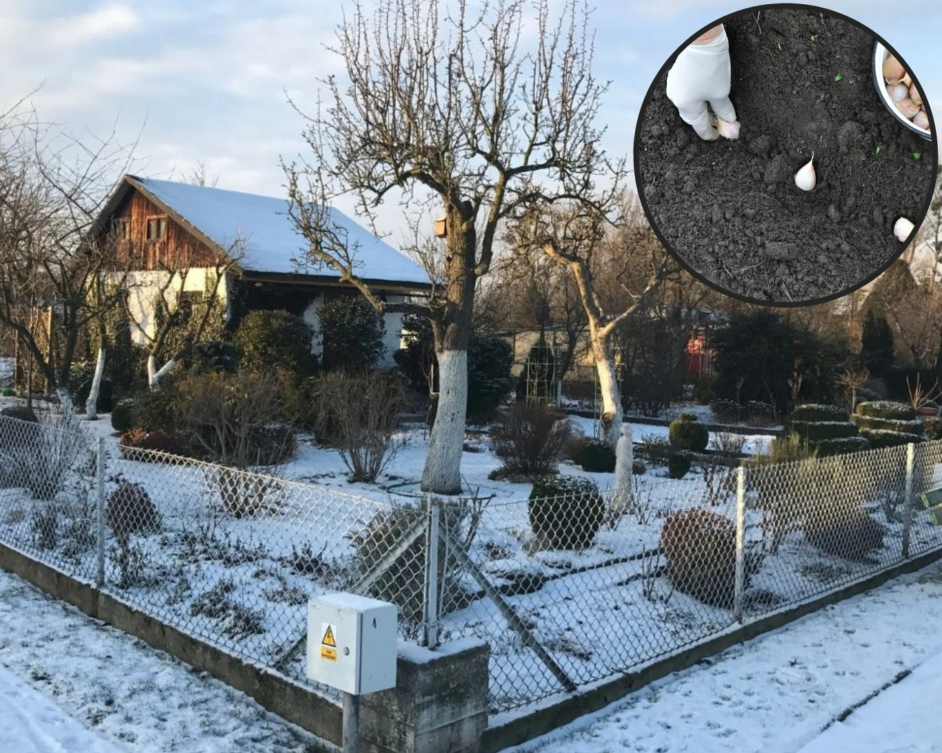 Jakie warzywa możemy sadzić w grudniu? Jakie warzywa możemy sadzić w grudniu?