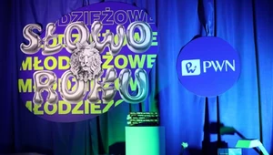 Sigma to Młodzieżowe Słowo Roku 2024. Co oznacza?