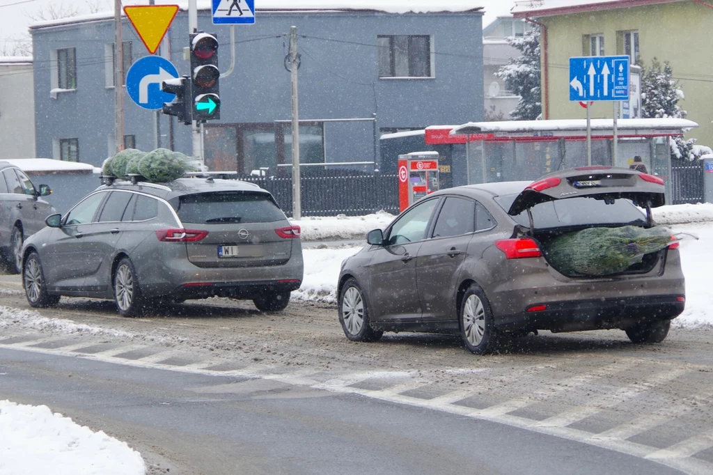 W jaki sposób przewozić choinkę samochodem?