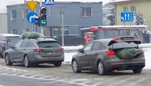 Choinka w samochodzie. Jak przewozić, żeby uniknąć 500 zł mandatu