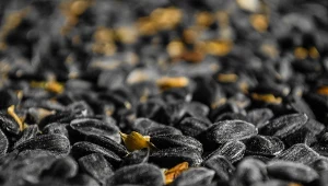 Mają niski indeks glikemiczny i mało węglowodanów. Serce je pokocha