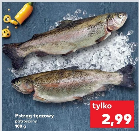 Pstrąg tęczowy