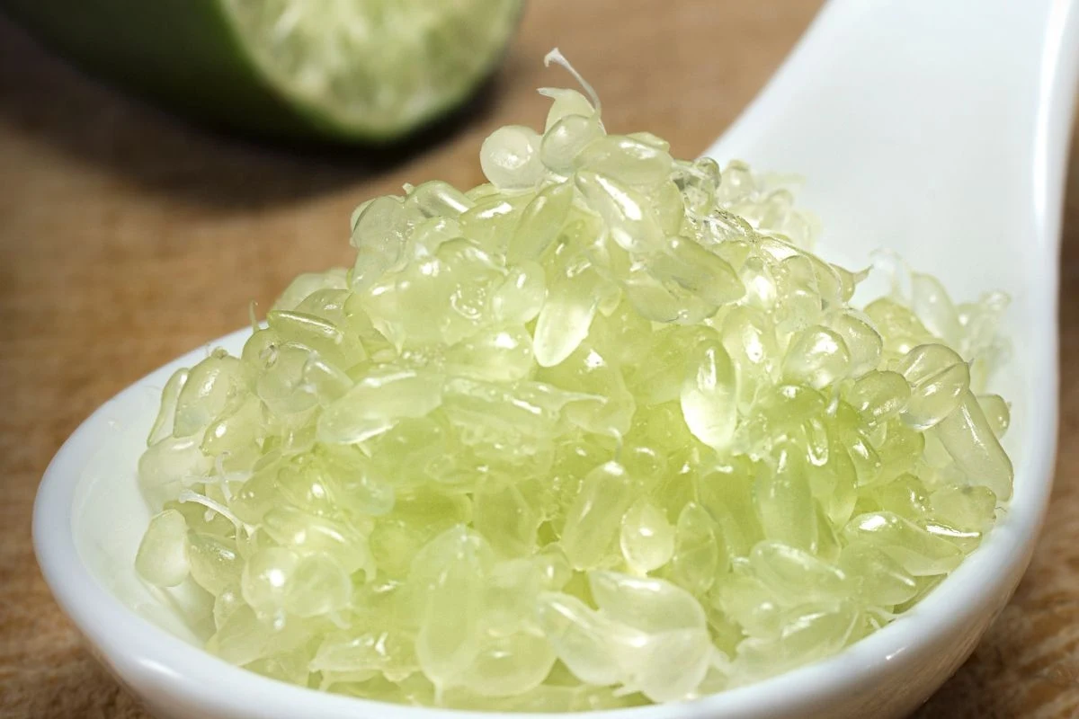 Citrus australasica to owoc, który zaskakuje konsystencją Citrus australasica to owoc, który zaskakuje konsystencją