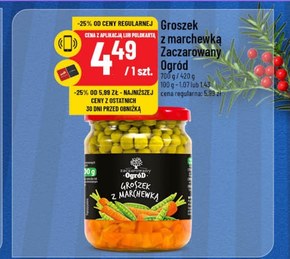 Groszek Zaczarowany Ogród niska cena