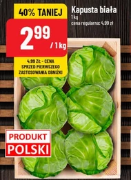 Kapusta biała Polski