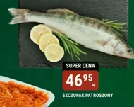 Szczupak