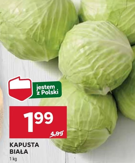 Kapusta biała Polski