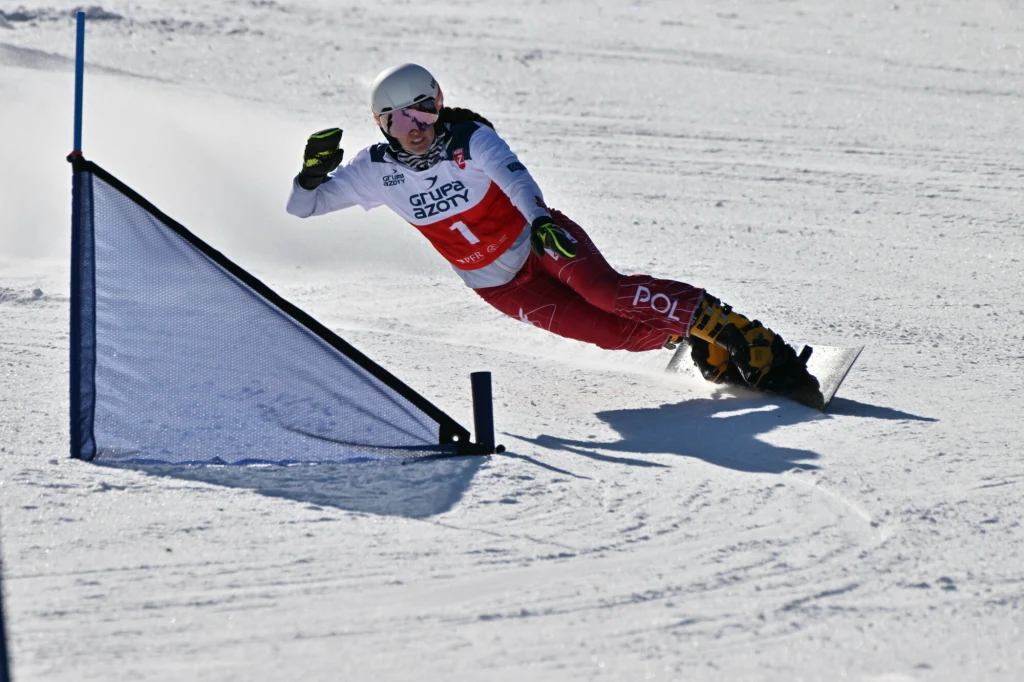 Aleksandra Król-Walas