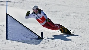 Aleksandra Król-Walas