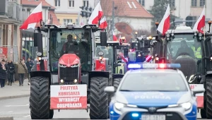 Mercosur zagraża "suwerenności europejskiego rolnictwa"? Mocne słowa Macrona