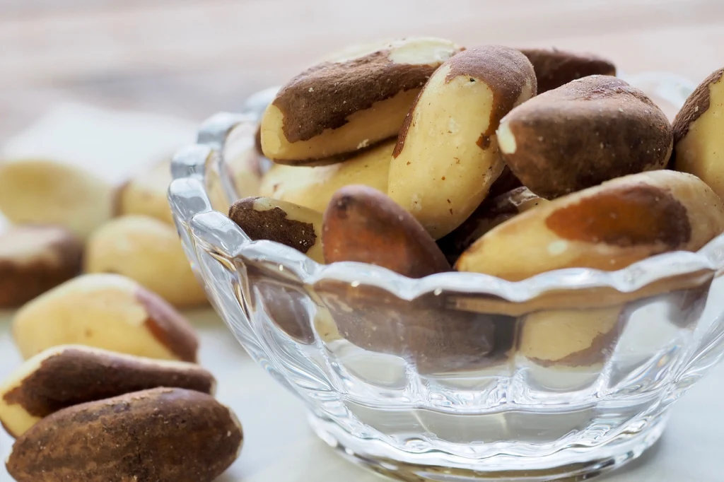 Orzechy brazylijskie to jedne z najzdrowszych orzechów. Dlaczego warto je jeść?