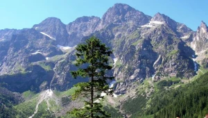 "Kryminalne Zakopane" to książka o zapomnianych zbrodniach