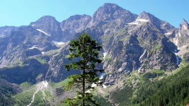 "Kryminalne Zakopane" to książka o zapomnianych zbrodniach