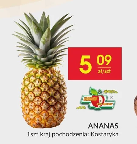 Ananas