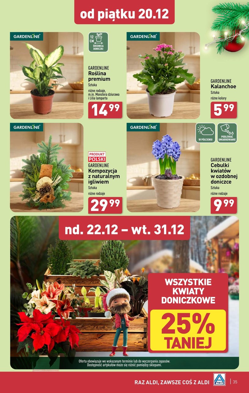 Gazetka: Świąteczne smaki z Aldi - strona 35