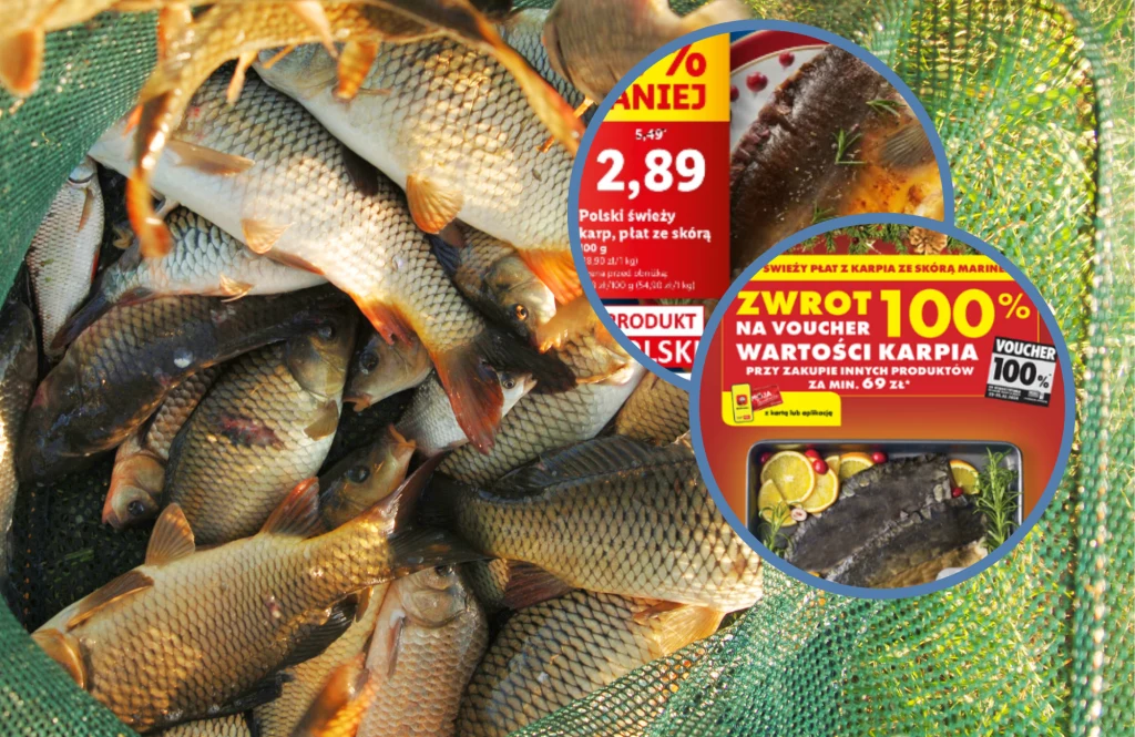 Promocje na karpia na tydzień przed świętami